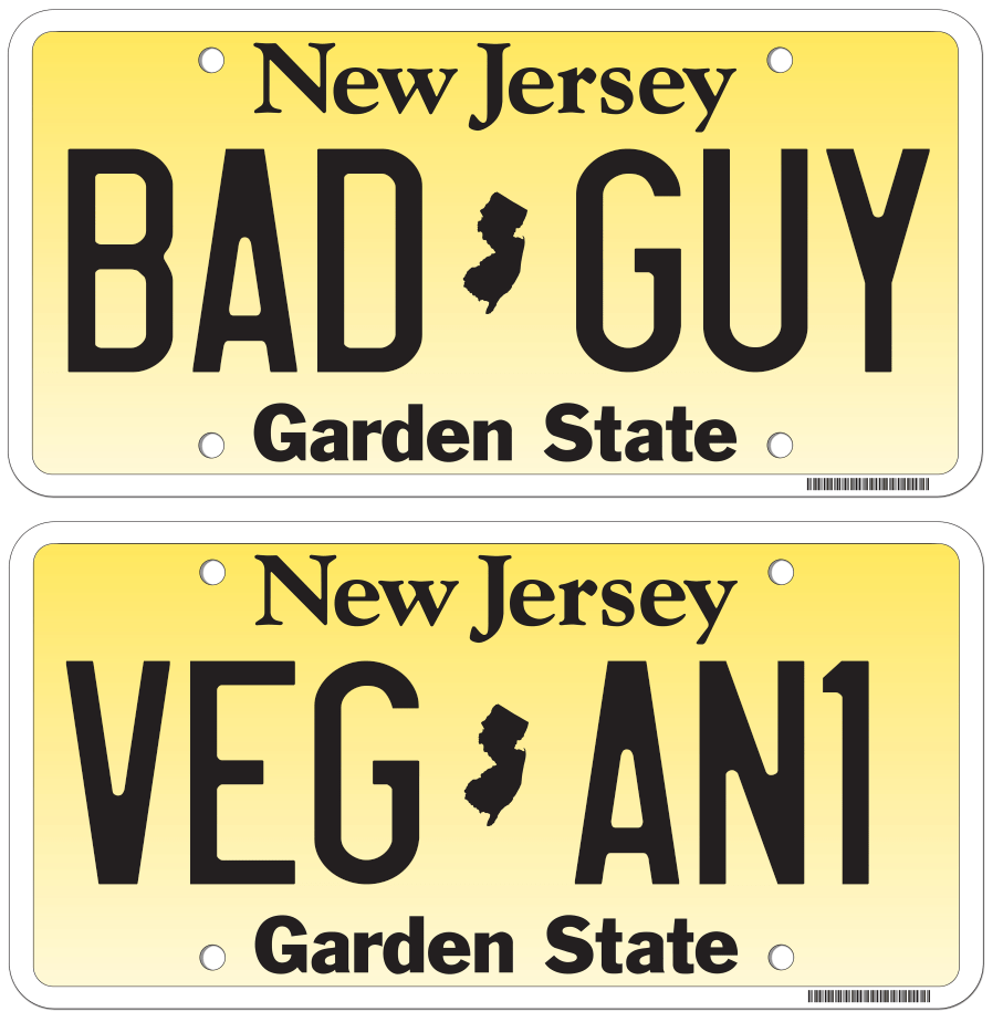 will-reading-liscence-plates.png